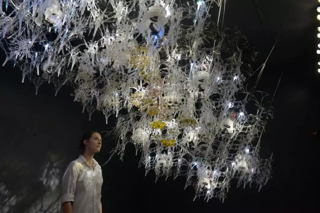 1577153029961909.png QQ圖片20191224093855.png